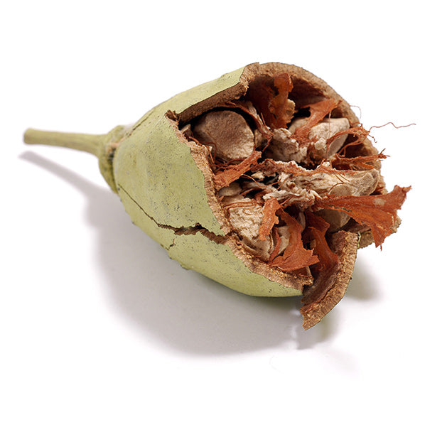 Organic Baobab