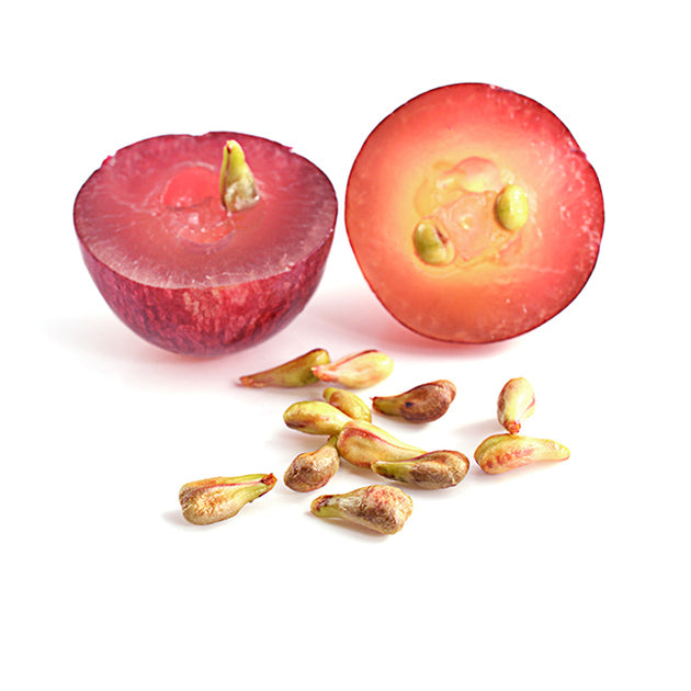 Organic Grapeseed Oil