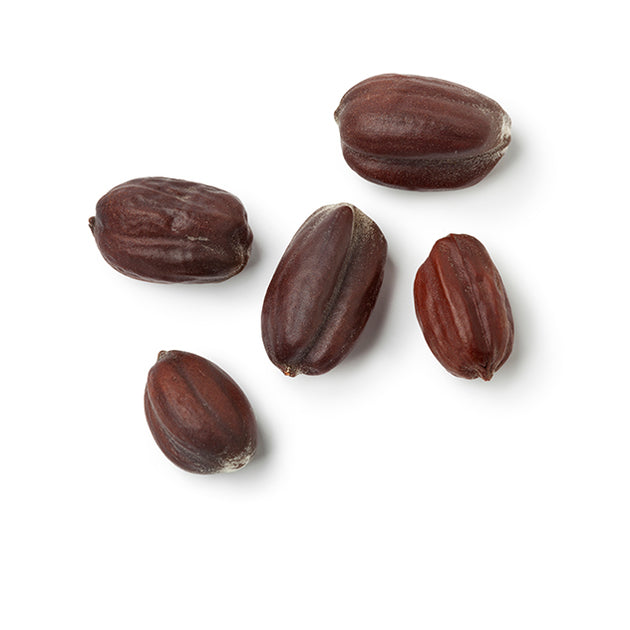 Organic Golden Jojoba Oil